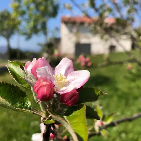 Asturias Naturales. San Julian.