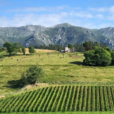 Asturias Naturales. San Julian. Feriehus *