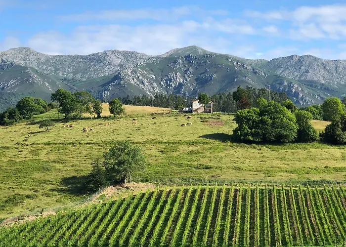 Asturias Naturales. San Julian. 펜션 *