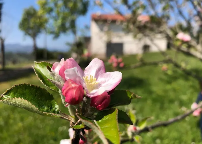 Asturias Naturales. San Julian.